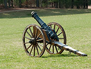 cannon