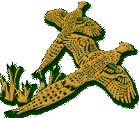Addieville East Farm logo